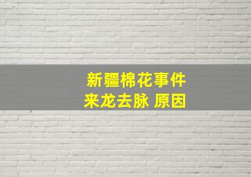 新疆棉花事件来龙去脉 原因